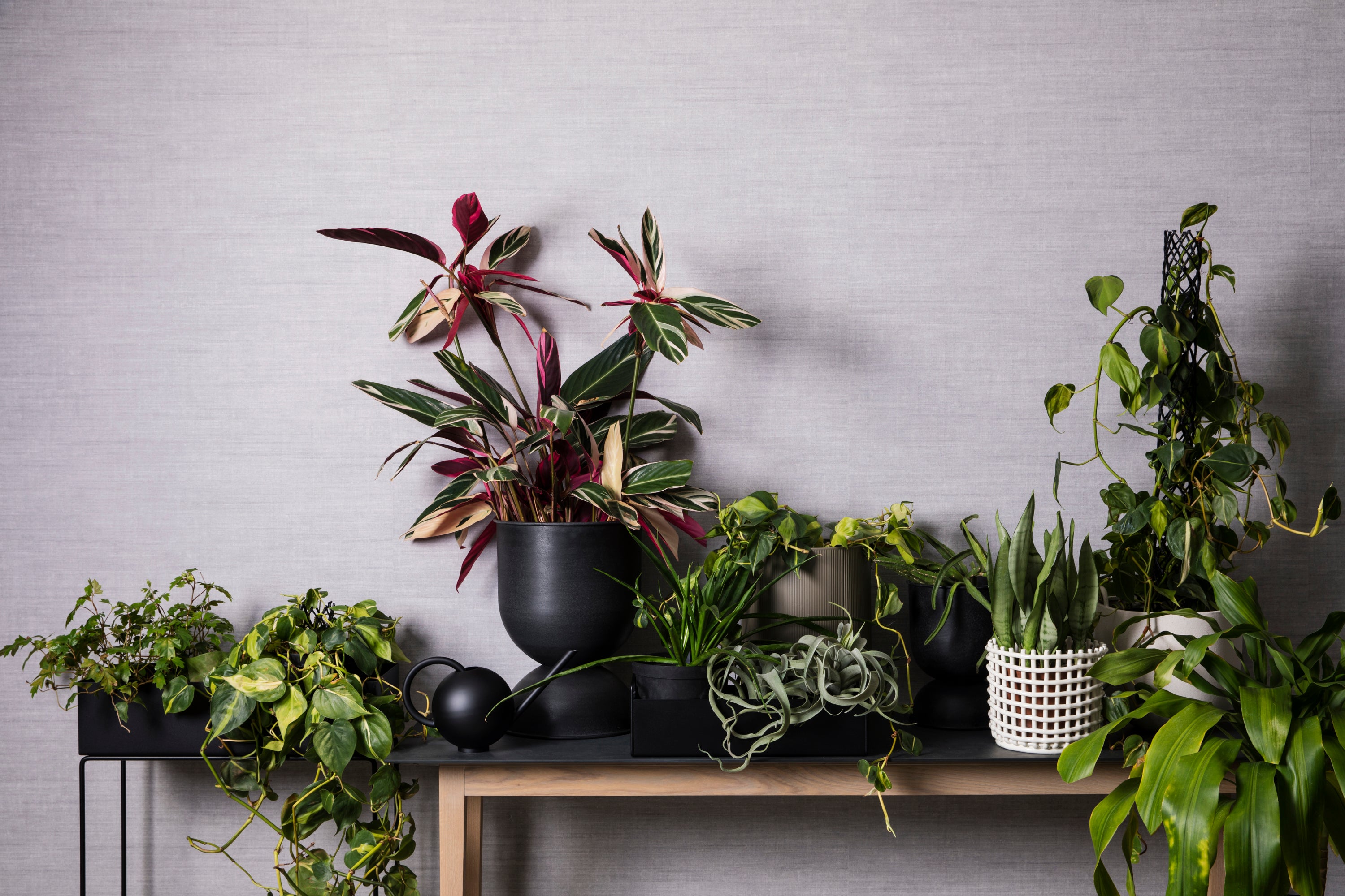Green Living