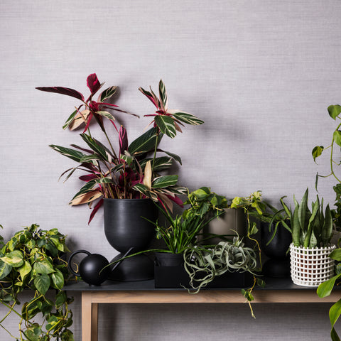 Green Living